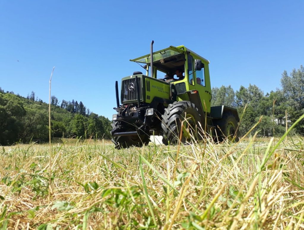 Heuernte auf einem Feld, mit Traktor