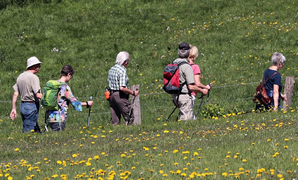 Wanderer auf grüner Wiese