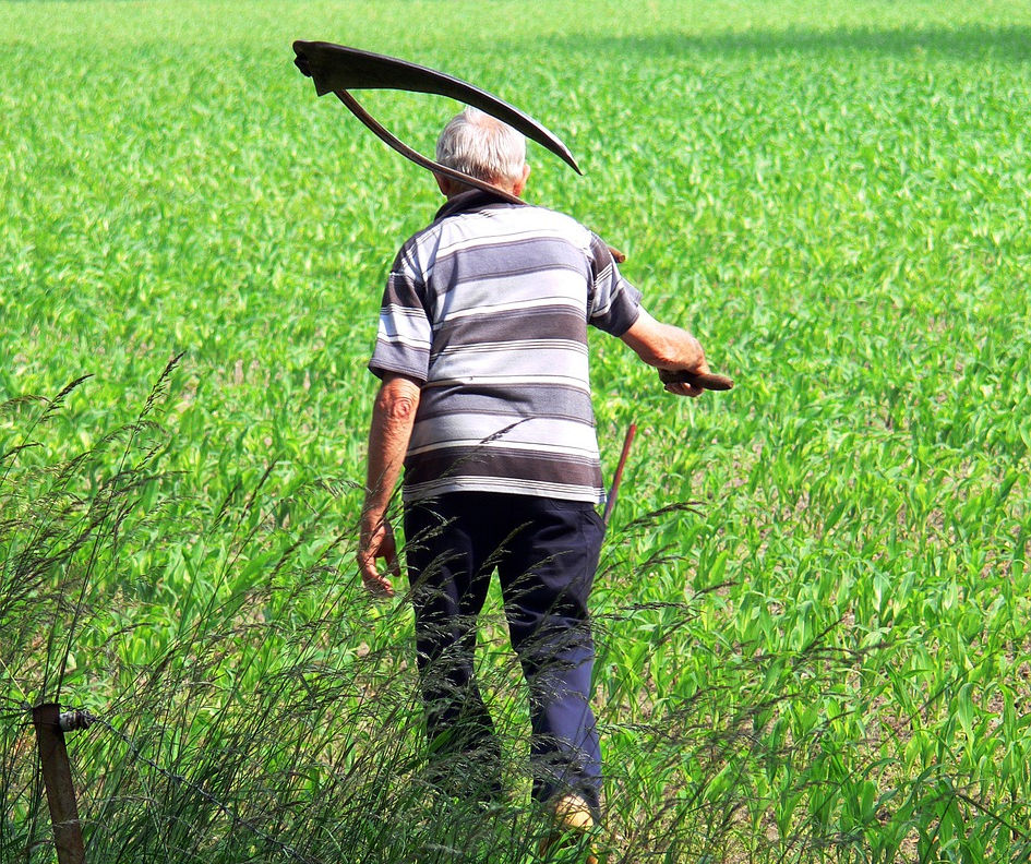 Mann mit Sense auf Wiese