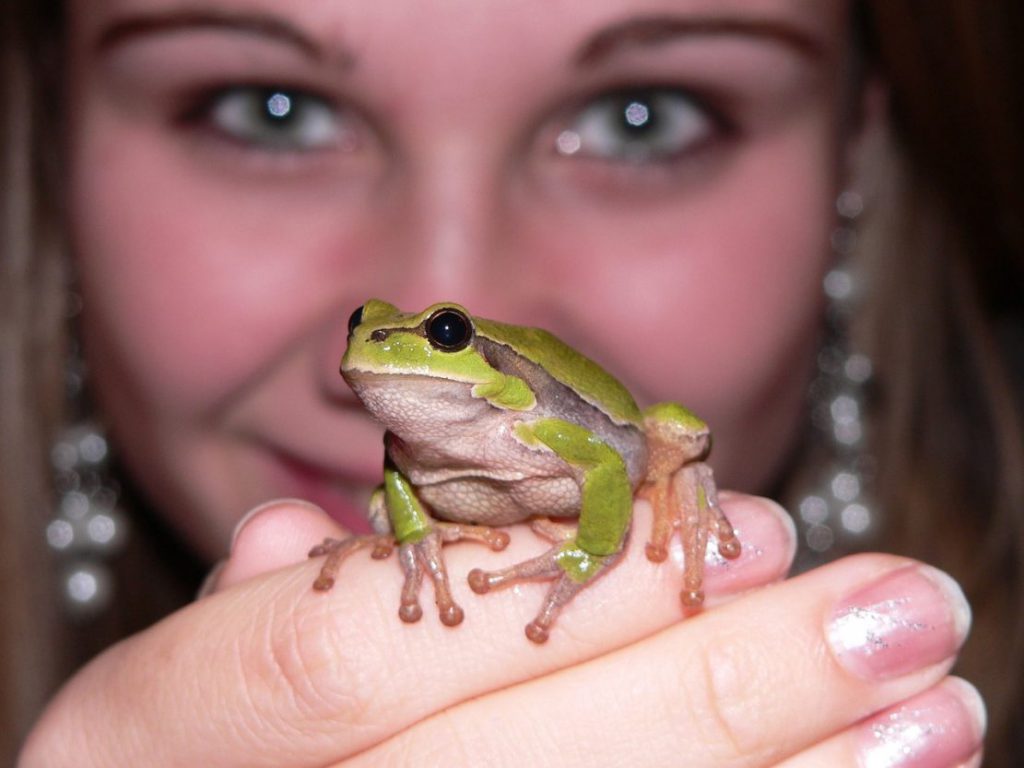 Eine junge Frau, reich geschmückt, hält einen lebenden, echten Frosch auf der Hand.