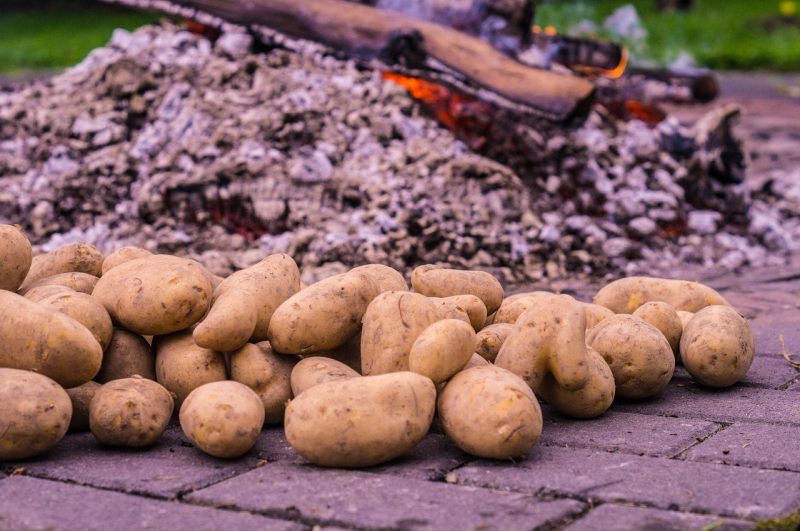 kartoffeln und Glut