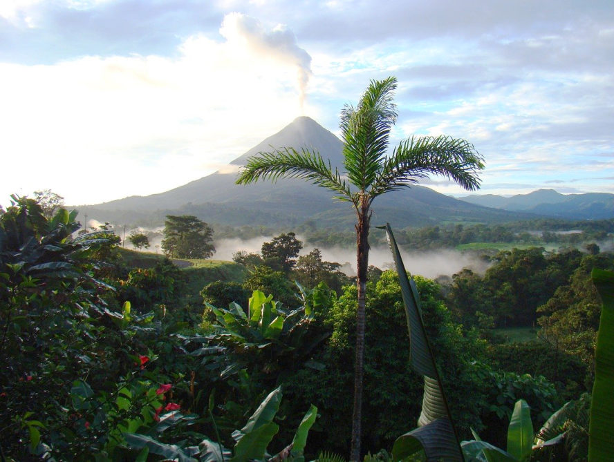 Vulkan im Hintergrund, Dschungelbereich mit Palme vorn. Costa Rica.