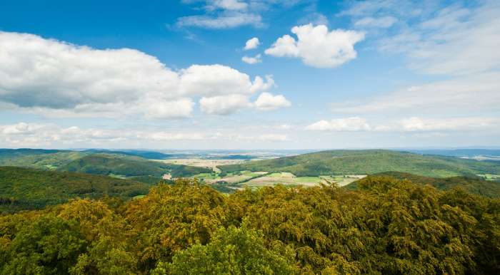 Das Lahn-Dill-Bergland unter blauem Himmel. Wälder und Wiesen.