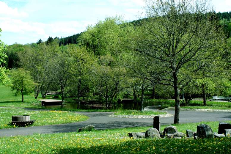 Wiese, Bäume, Park
