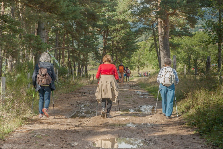 Frauen mit Walkingstöcken unterwegs im Wald