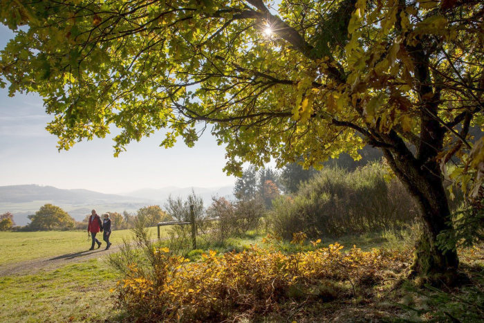 Herbstliche Region um Marburg