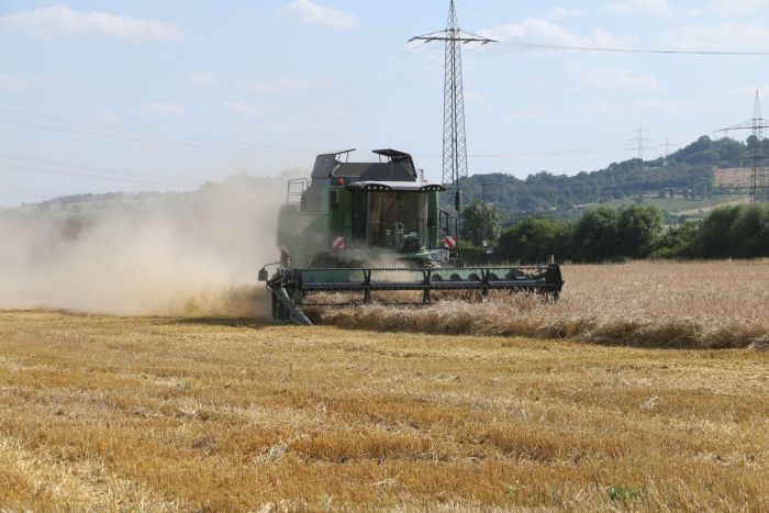 Mähdrescher auf einem Feld bei der Arbeit.