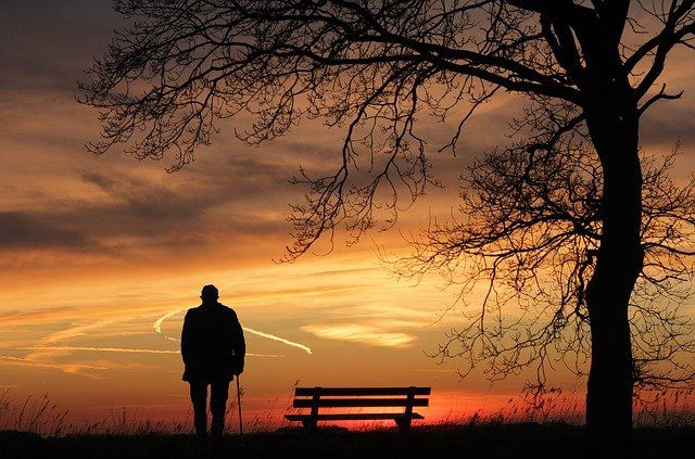 Bank und Baum und Spaziergänger im Sonnenuntergang
