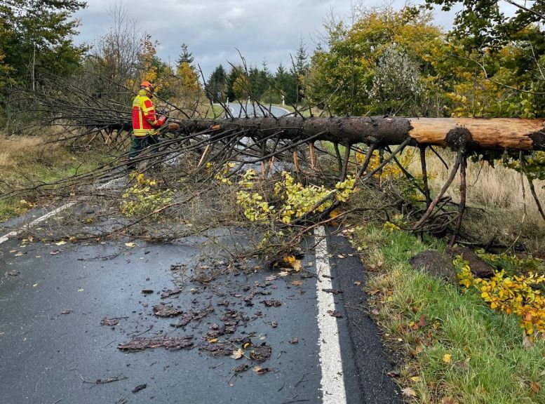 Umgestürzter Baum über der Straße. Ein Feuerwehrmann sägt Äste ab.