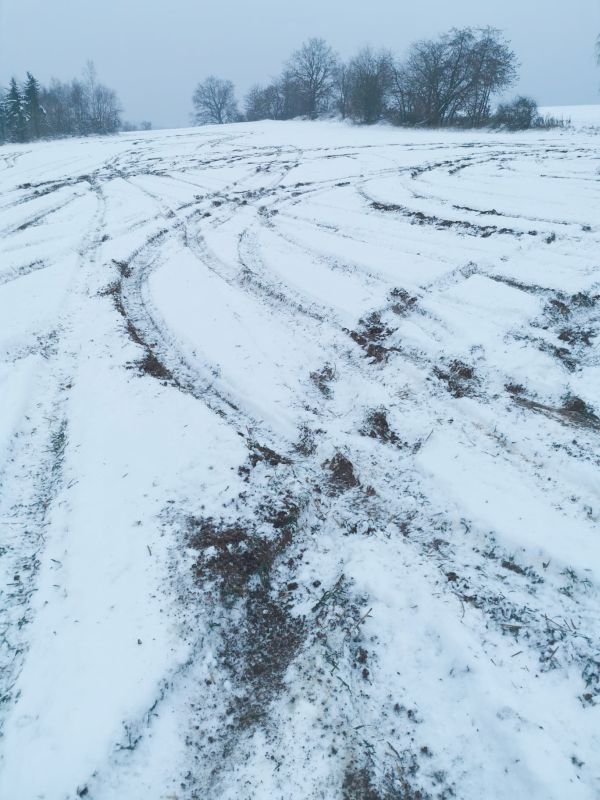 Verschneiter Acker mit Autospuren