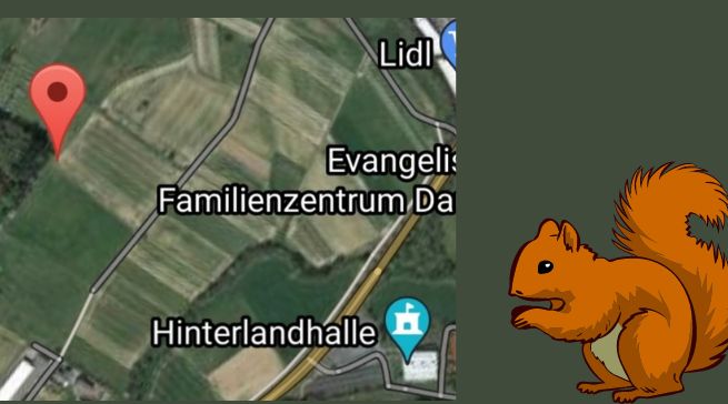 Grafik mit Lageplan und gezeichnetem Eichhörnchen
