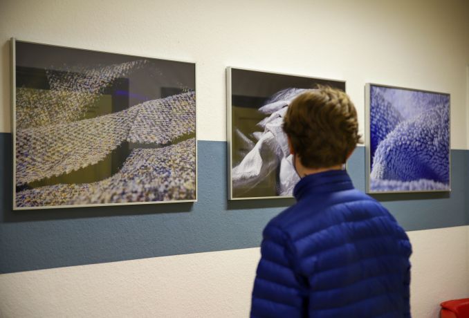 Mann vor 3 Bildern an der Wand