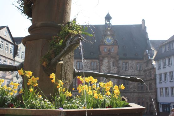Brunnen und Rathaus